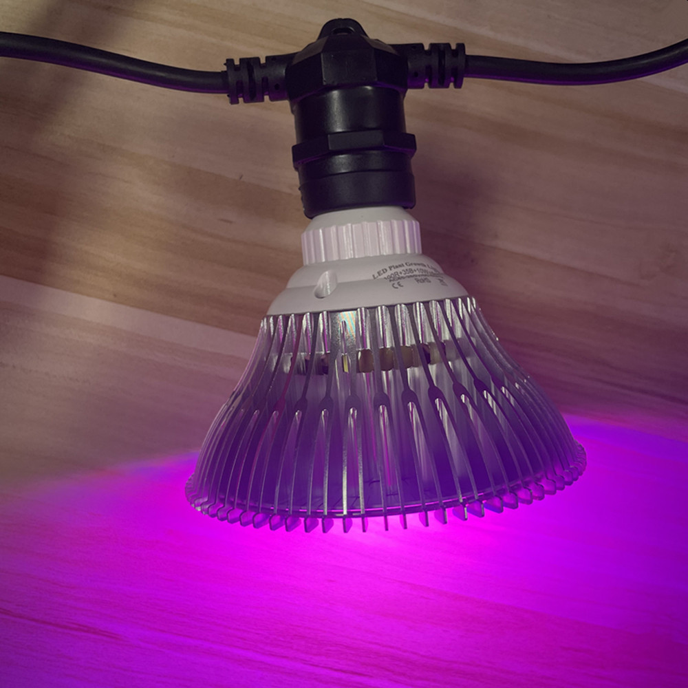 10 m langes LED-Kabel, wasserd – Outdoor Power Socket Bewertung und Preis